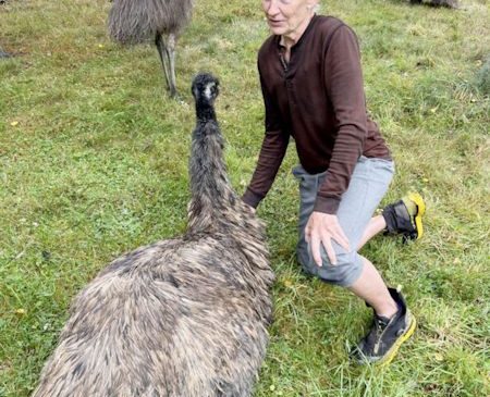 Cheryl Burns is pictured with one of her emus.